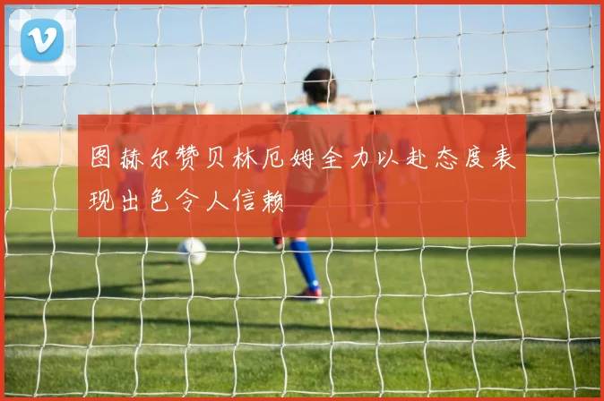 图赫尔赞贝林厄姆全力以赴态度表现出色令人信赖
